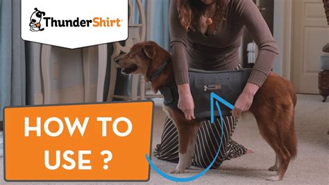 How To Put On A Thundershirt For Dog