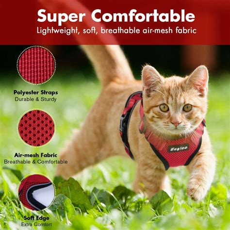 How To Put On Mesh Cat Harness
