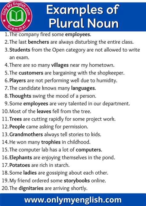 How To Put Plural In A Sentence