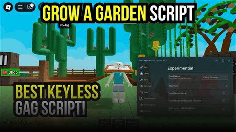 how to put scripts in roblox gag