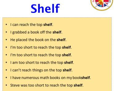 How To Put Shelf In A Sentence