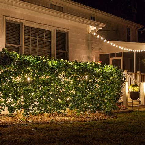 How To Put String Lights On Shrubs