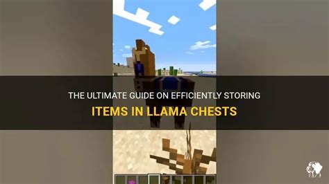 How To Put Stuff In Chest On Llama