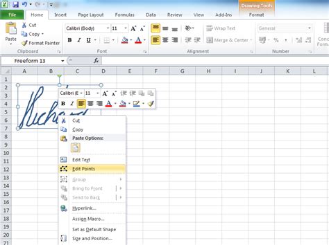 how to put the signature in excel