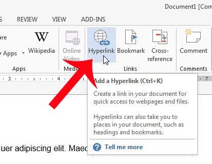 how to put web link in word document