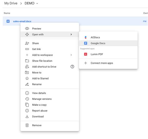 how to put word file in docs