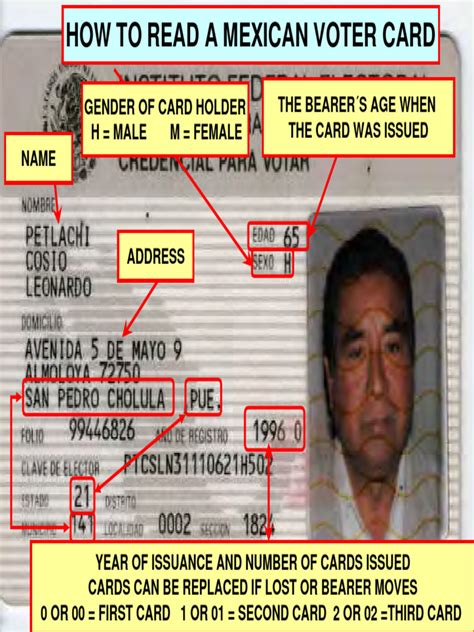 how to read a mexican voter card