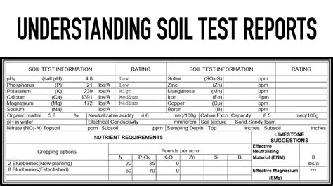 how to read a soil analysis report