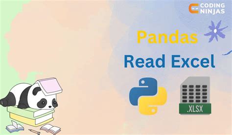 how to read excel file in python with pandas