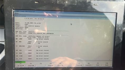 how to read fault codes on inpa