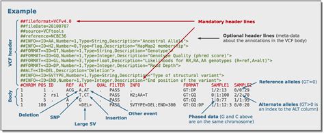 how to read vcf file in windows