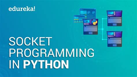 how to receive data in python