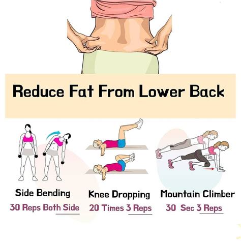 How To Reduce Lower Back Fat Exercise