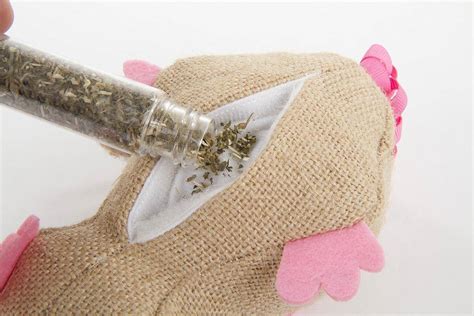 How To Refresh Catnip Toys