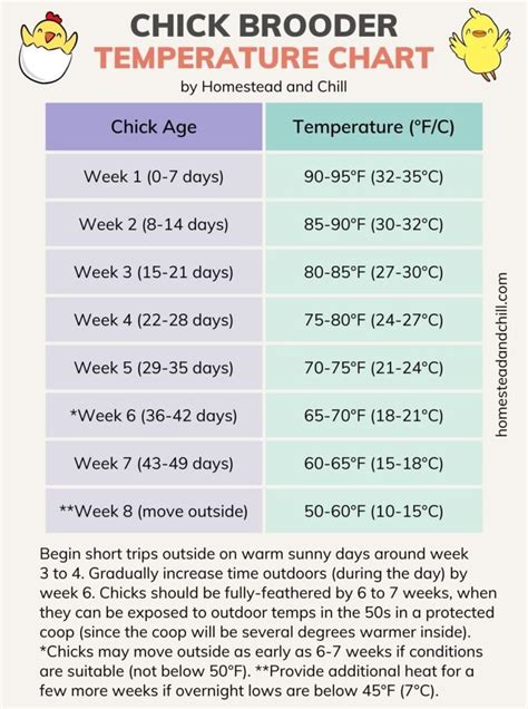 How To Regulate Brooder Temperature