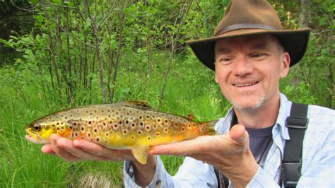 How To Remove A Fly Hook From A Trout
