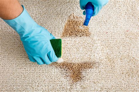 How To Remove A Set In Carpet Stain
