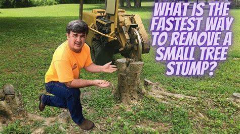 How To Remove A Small Stump