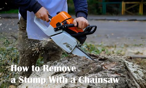 How To Remove A Stump With Chainsaw