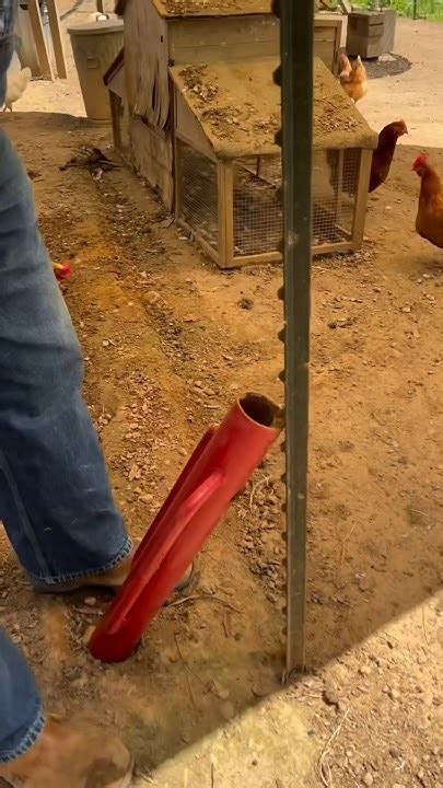 How To Remove A T Post With A T Post Driver