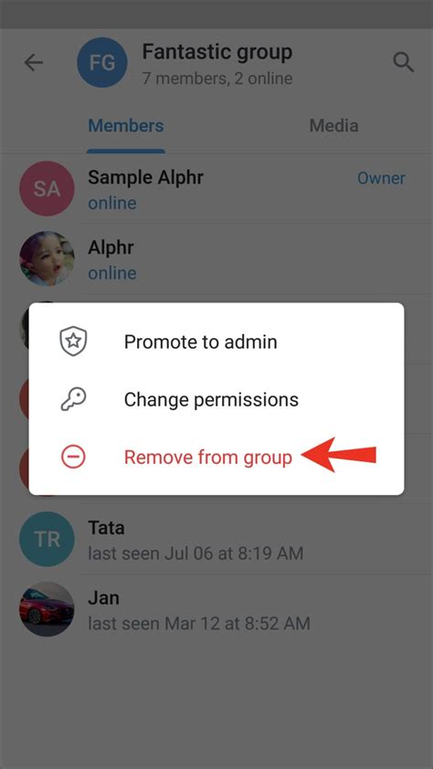 how to remove a user from telegram group