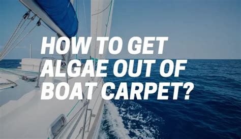 How To Remove Algae From Boat Carpet