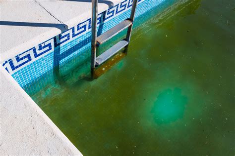 How To Remove Algae Stains From Pool Walls