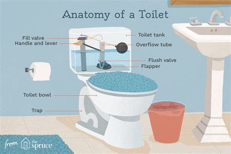 How To Remove And Replace A Toilet Bowl