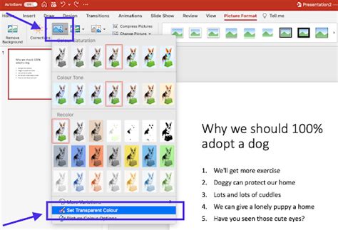 how to remove background color from image in ppt