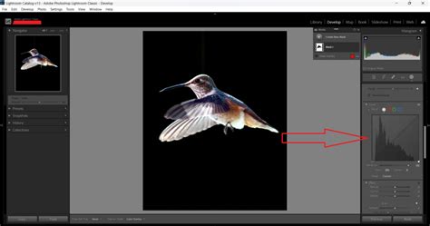 Effortlessly Remove Background in Lightroom: A Step-by-Step Tutorial.
