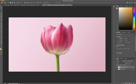 How To Remove Background In Photoshop Using Lasso Tool