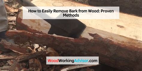 Removing Poplar Bark 61616 YouTube