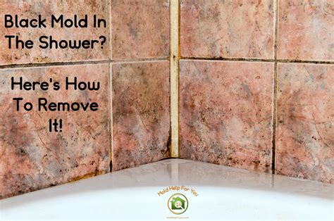 How To Remove Black Mold In Shower Grout