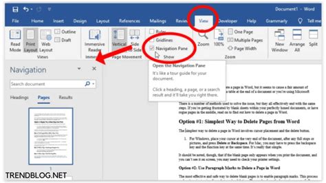 how to remove blank page in word windows 10