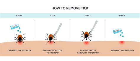 How To Remove Brown Dog Tick
