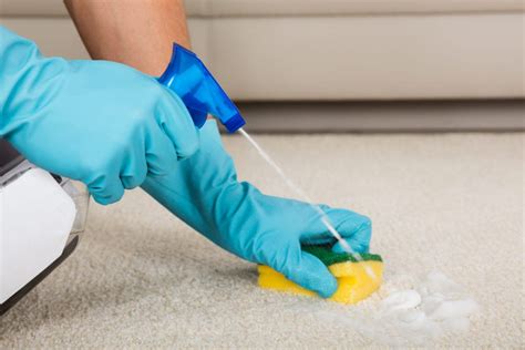 How To Remove Bubble Solution From Carpet