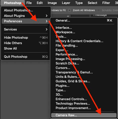 How To Remove Camera Raw