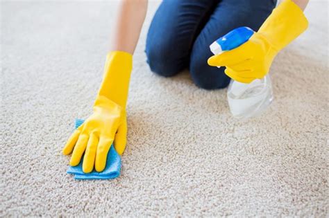 How To Remove Carpet Odours