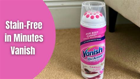 How To Remove Carpet Stains With Vanish
