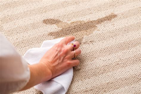 How To Remove Clorox Stain From Carpet