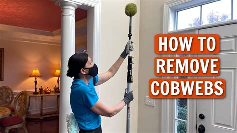 How To Remove Cobwebs From High Ceilings