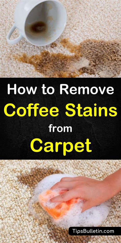 How to Remove Coffee Stains from Carpet [Ultimate GUIDE Of 2019] The House Wire