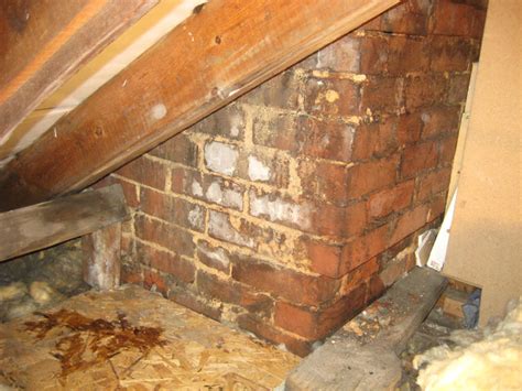 How To Remove Damp From Loft