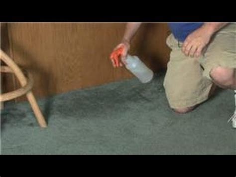 How To Remove Damp Smell From Carpets