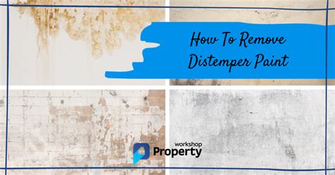 How To Remove Distemper Paint From Ceiling