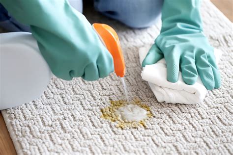 How To Remove Dog Vomit From A Carpet