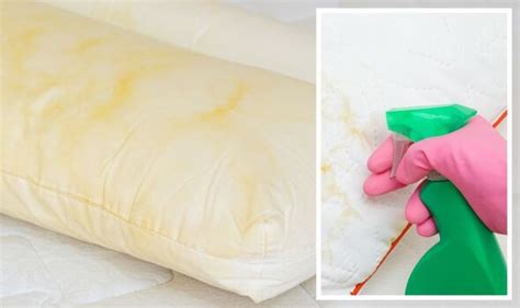 How To Remove Dust From Feather Pillows