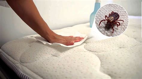 How To Remove Dust Mites In Bed