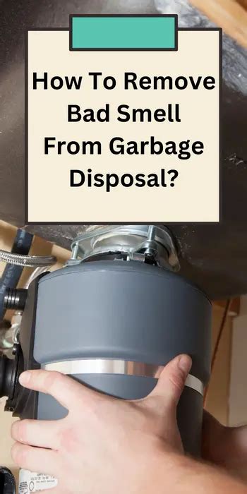 How To Remove Egg Smell From Garbage Disposal