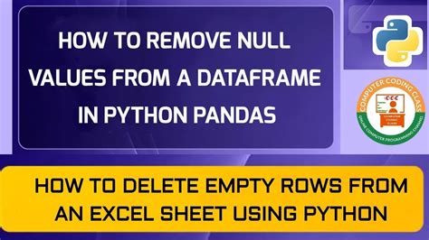 how to remove empty rows in dataframe python